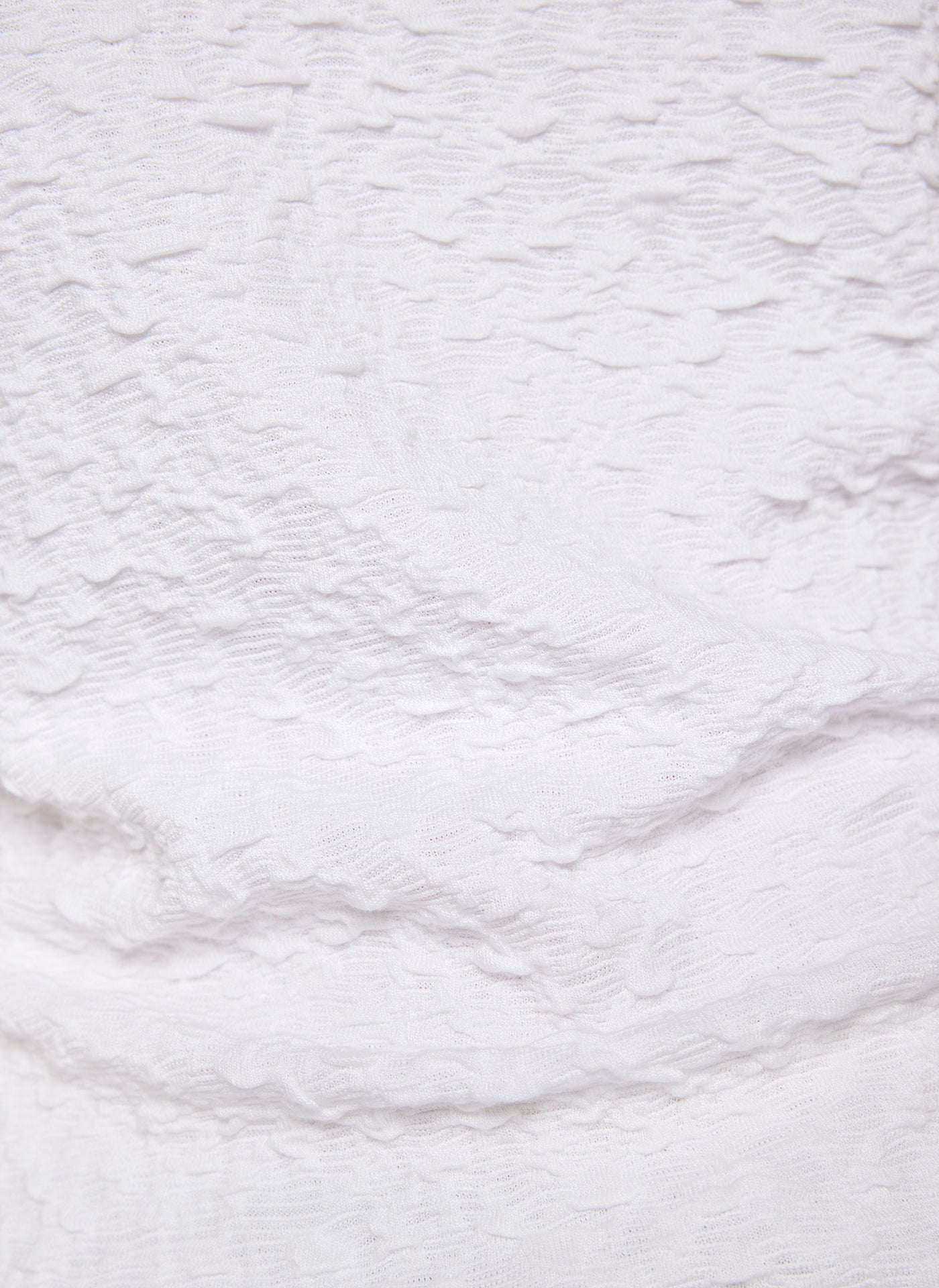 Powder Rose