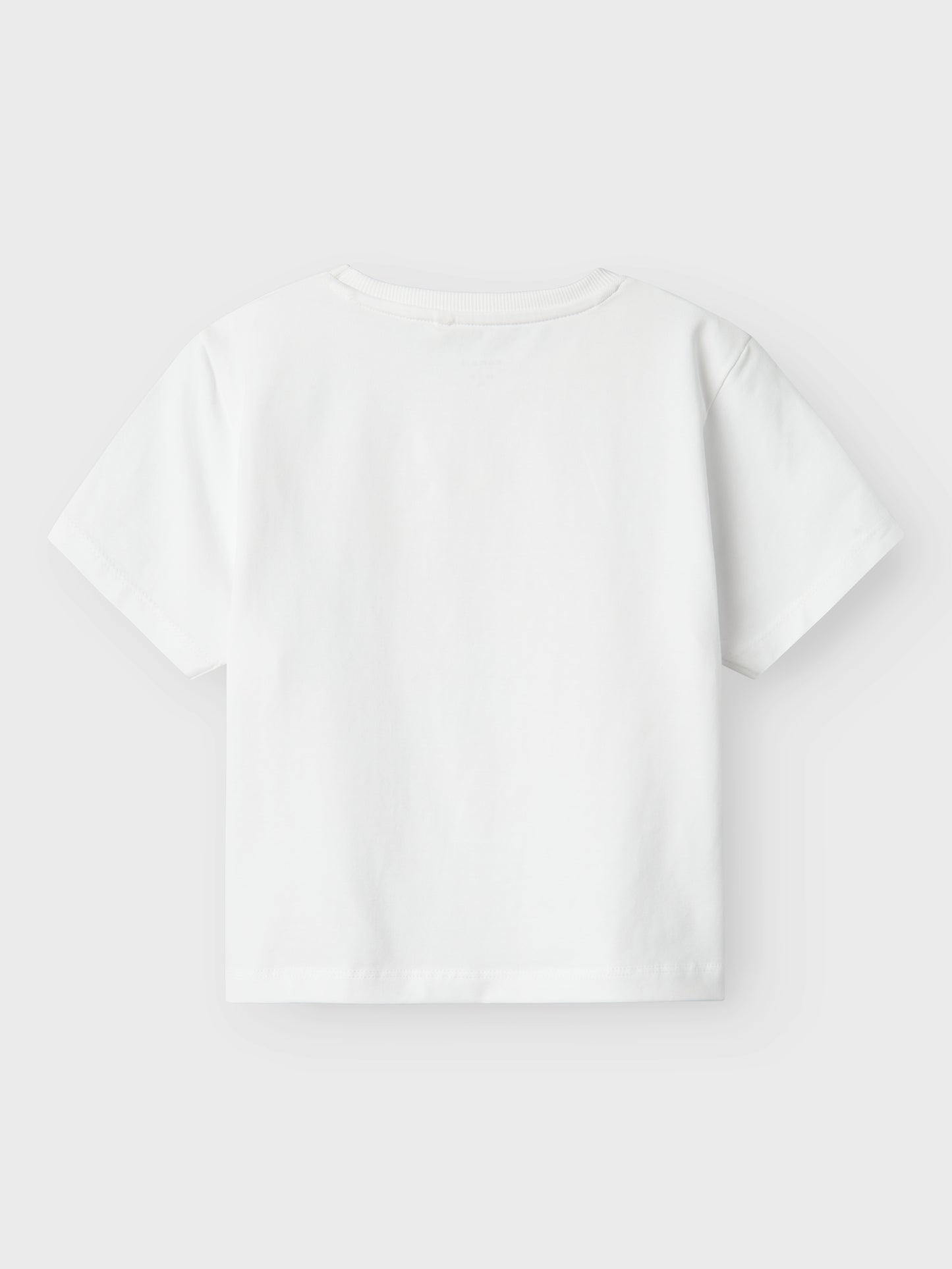 NMFFREJANE SS NREG TOP
