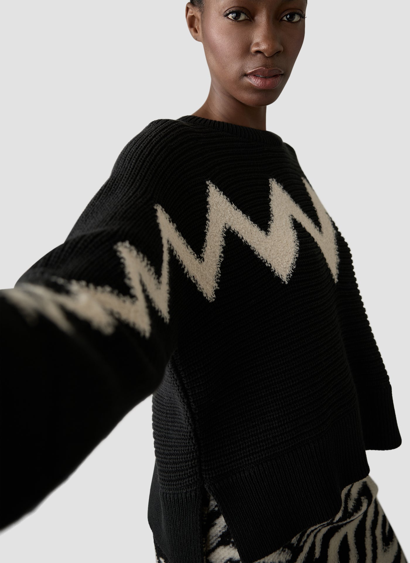 Zebra Noir