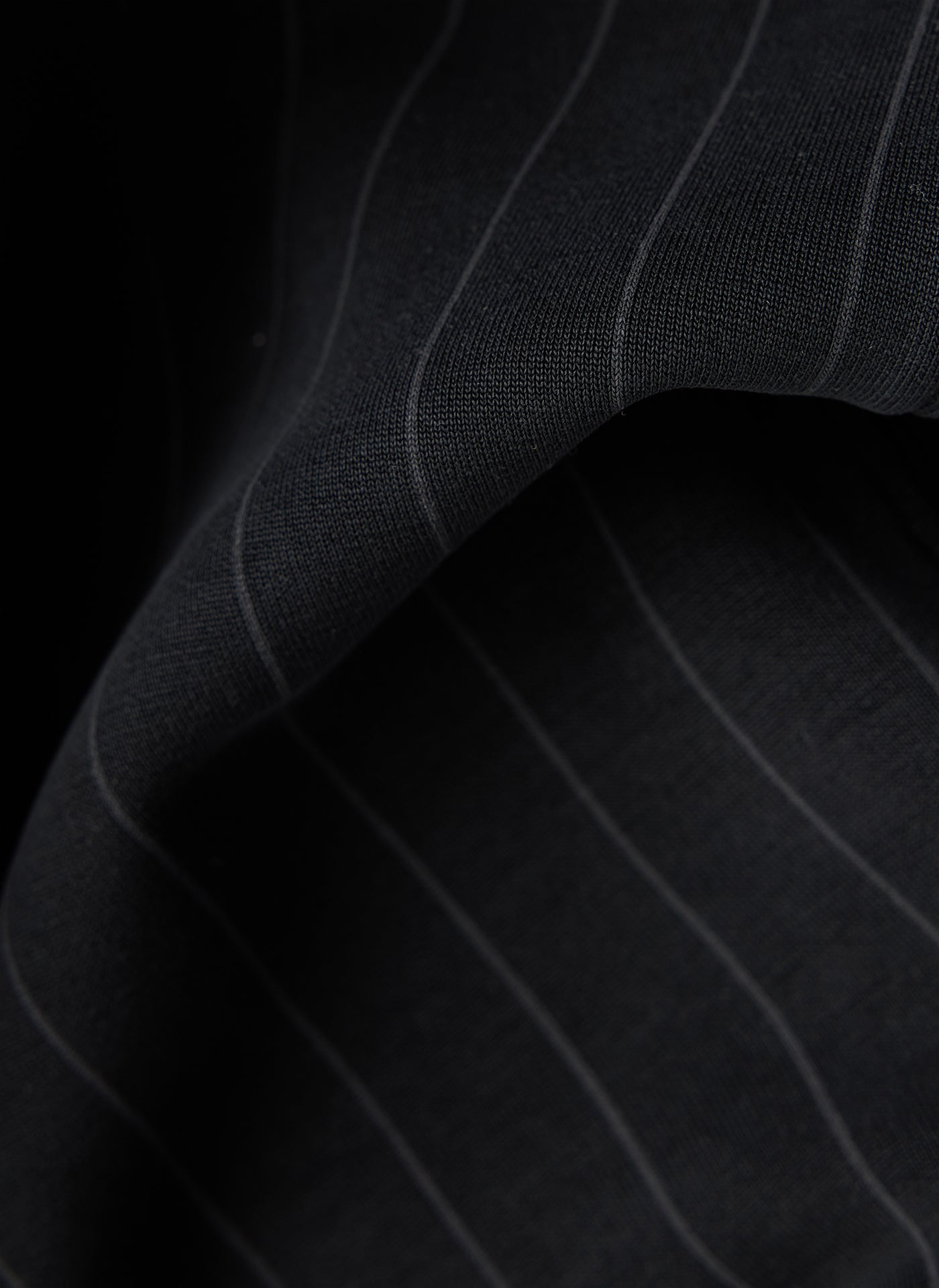 Zebra Noir