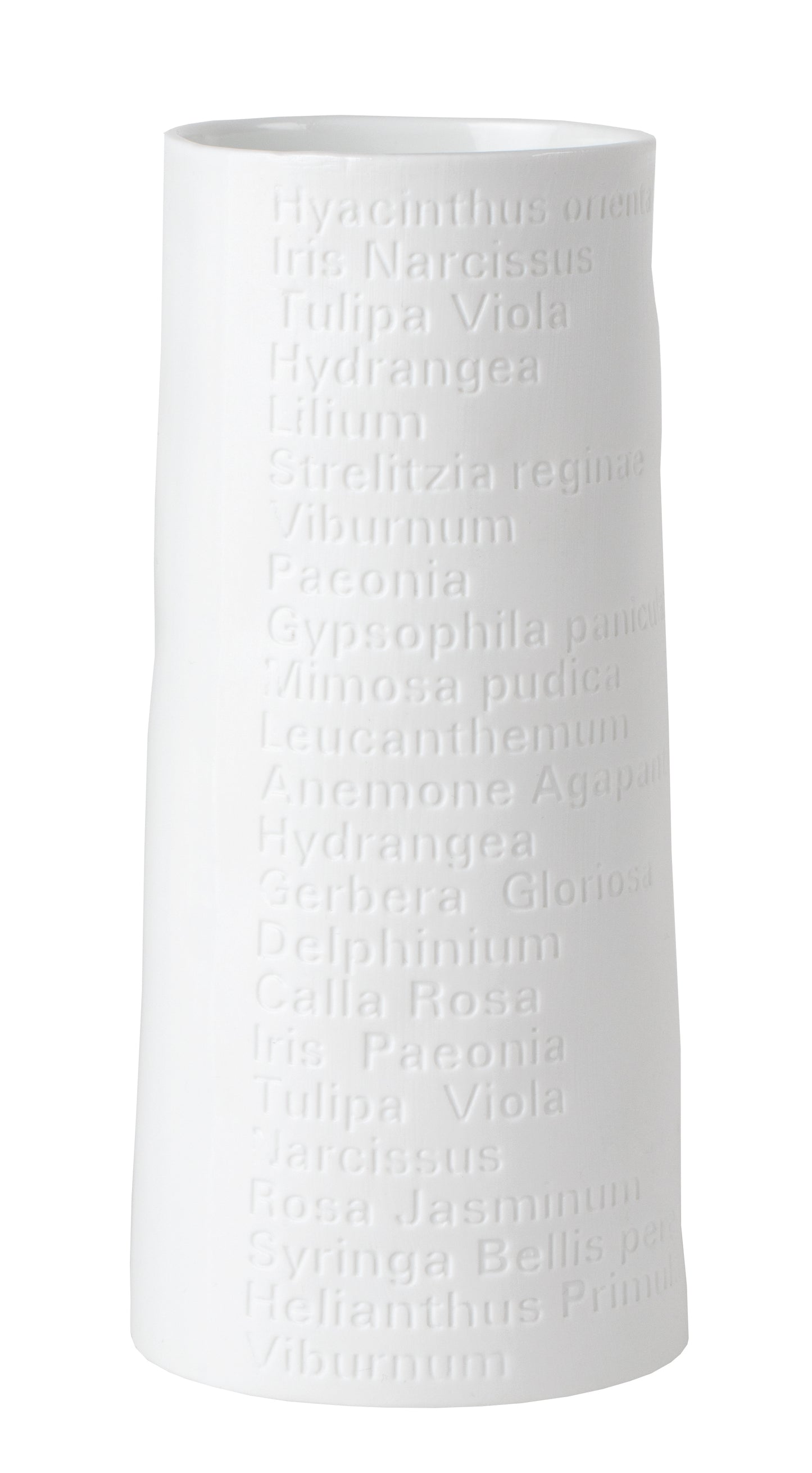 LIVING Raumpoesie Vase breit/ klein D 7cm H 15cm,