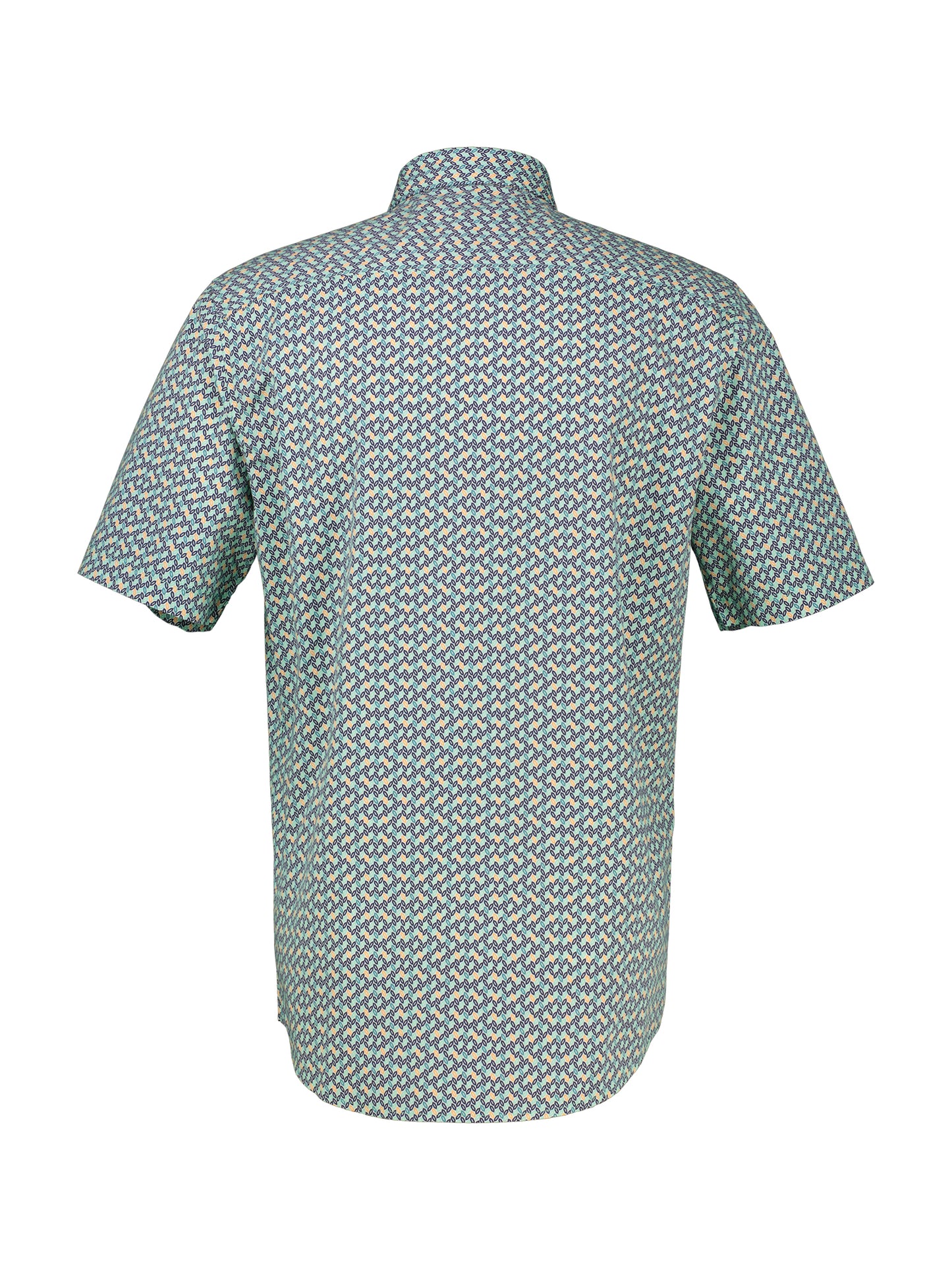 BUTTON DOWN