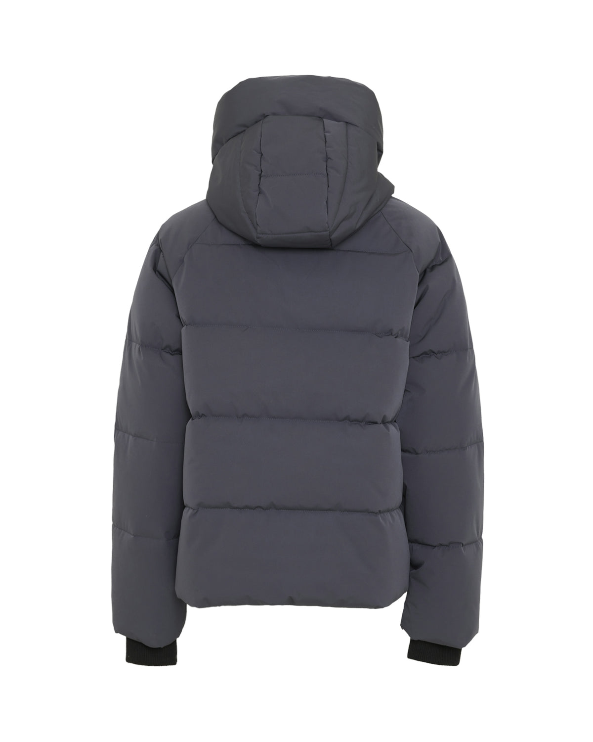 MSCHPavinaria Short Jacket