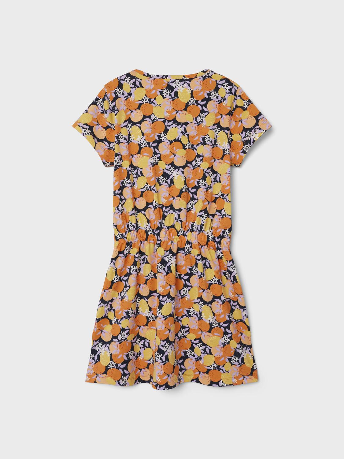 NKFJINNIA SS DRESS PB
