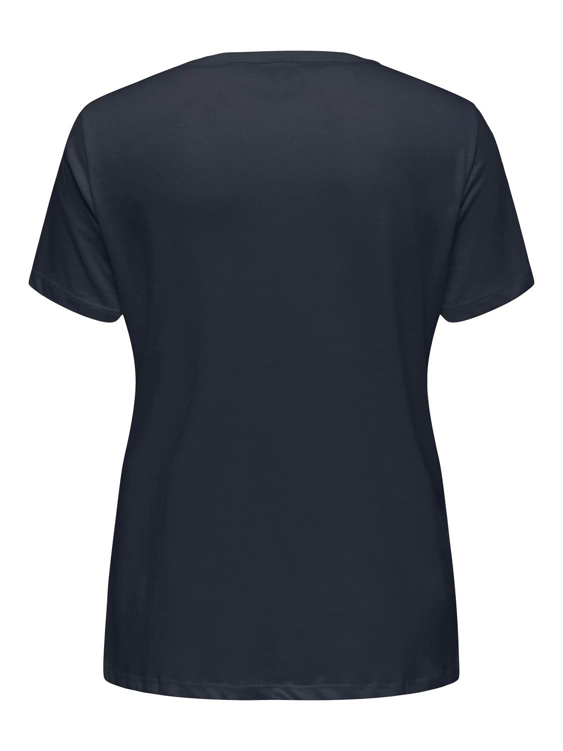CARBOOSTERY LIFE SS REG TEE JRS