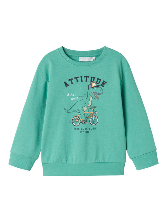 NMMVALEXANDER LS NREG SWEAT UNB