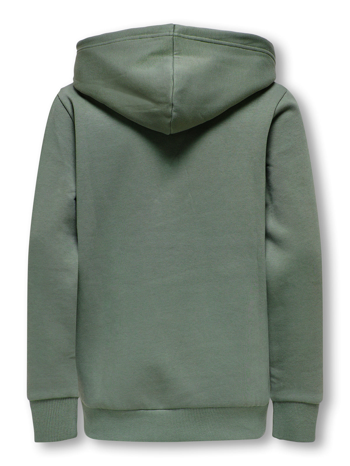 OSJCERES HOODIE SWT NOOS