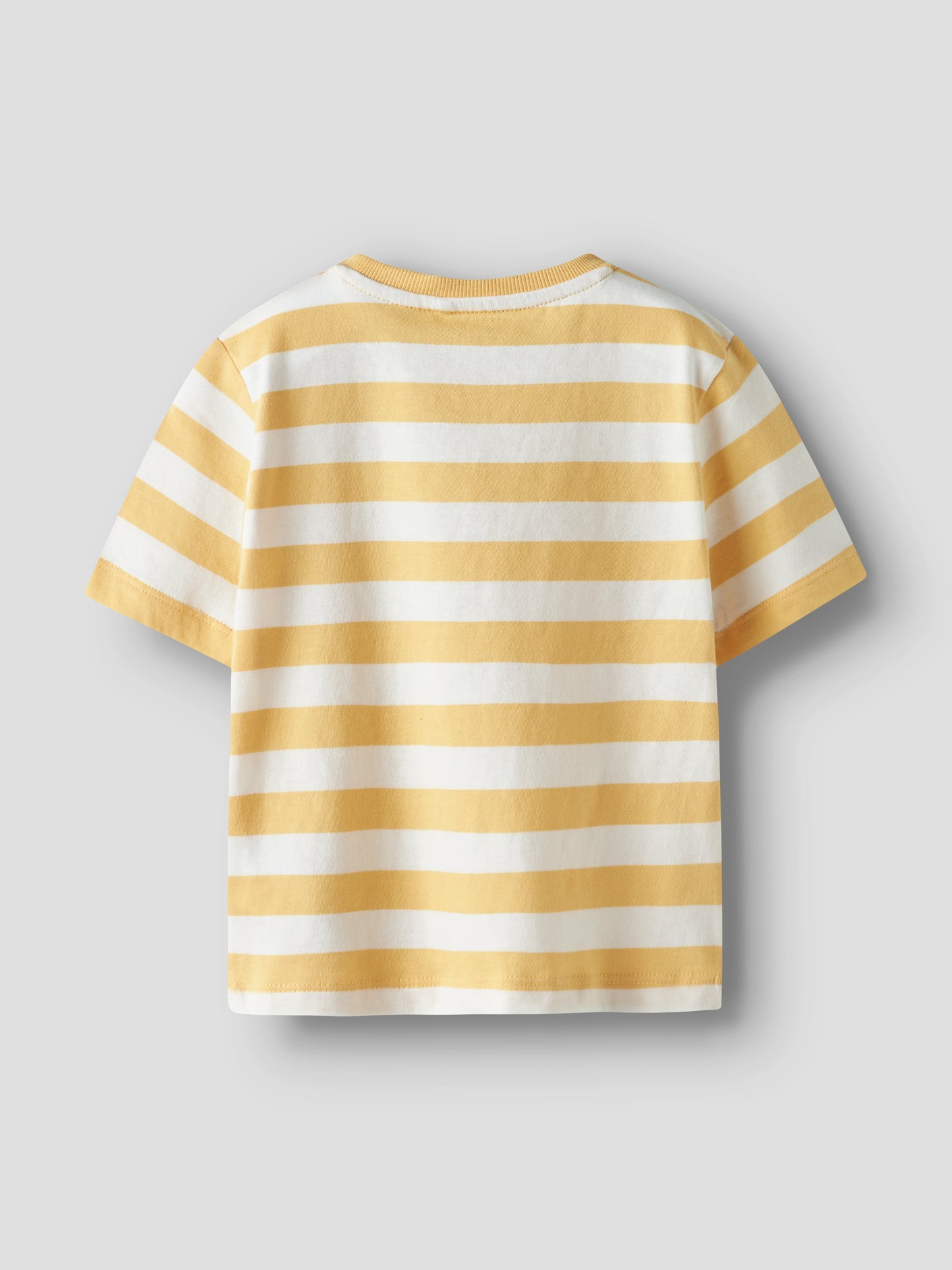 NMMFRIDY SS NREG TOP PB