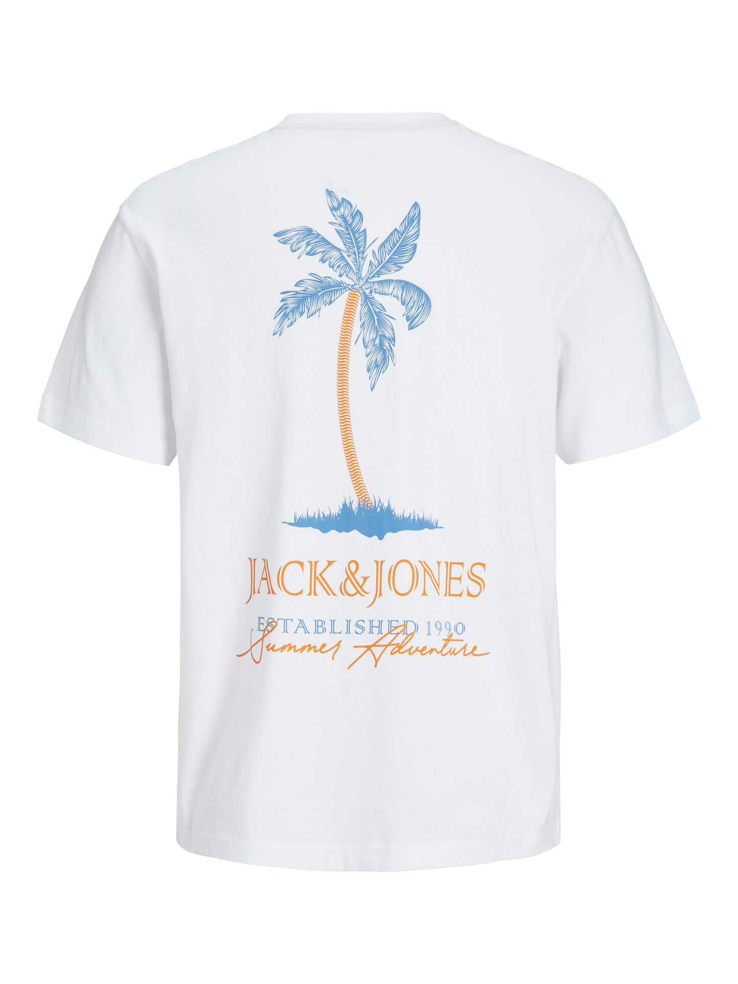 JJSUMMER VIBES TEE SS CREW NECK JNR