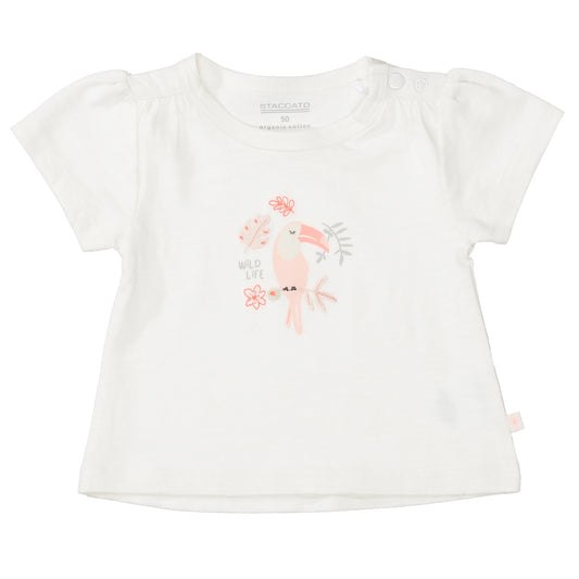 Md.-T-Shirt