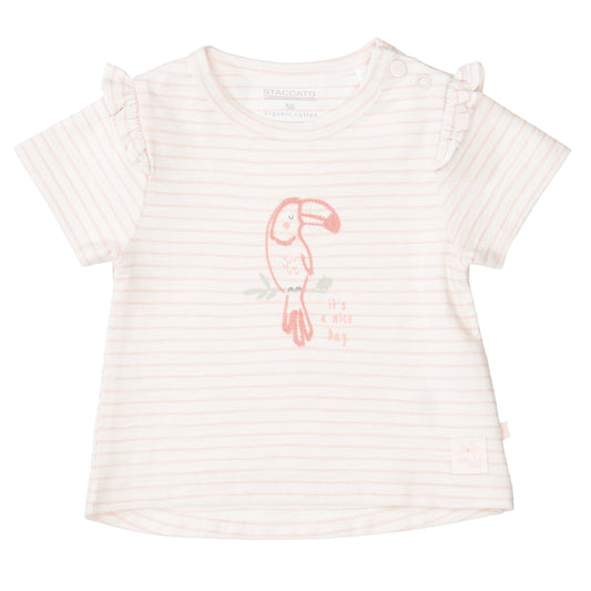 Md.-T-Shirt