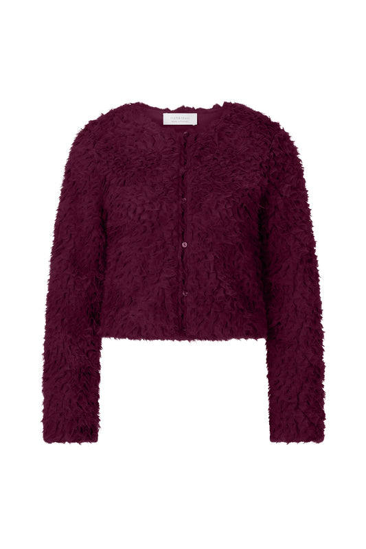 Short Lace Jacket