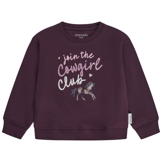 Md.-Sweatshirt