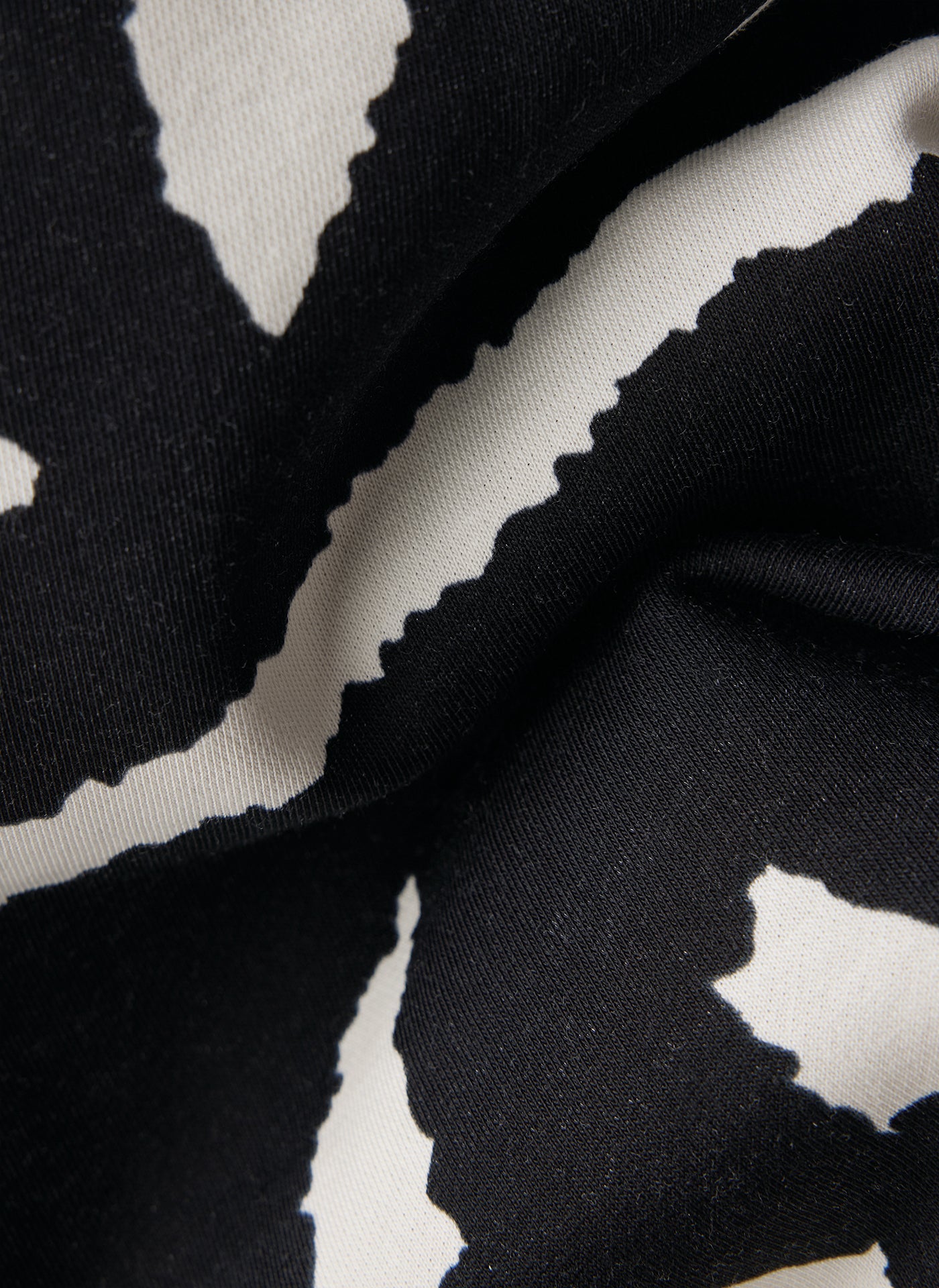 Zebra Noir