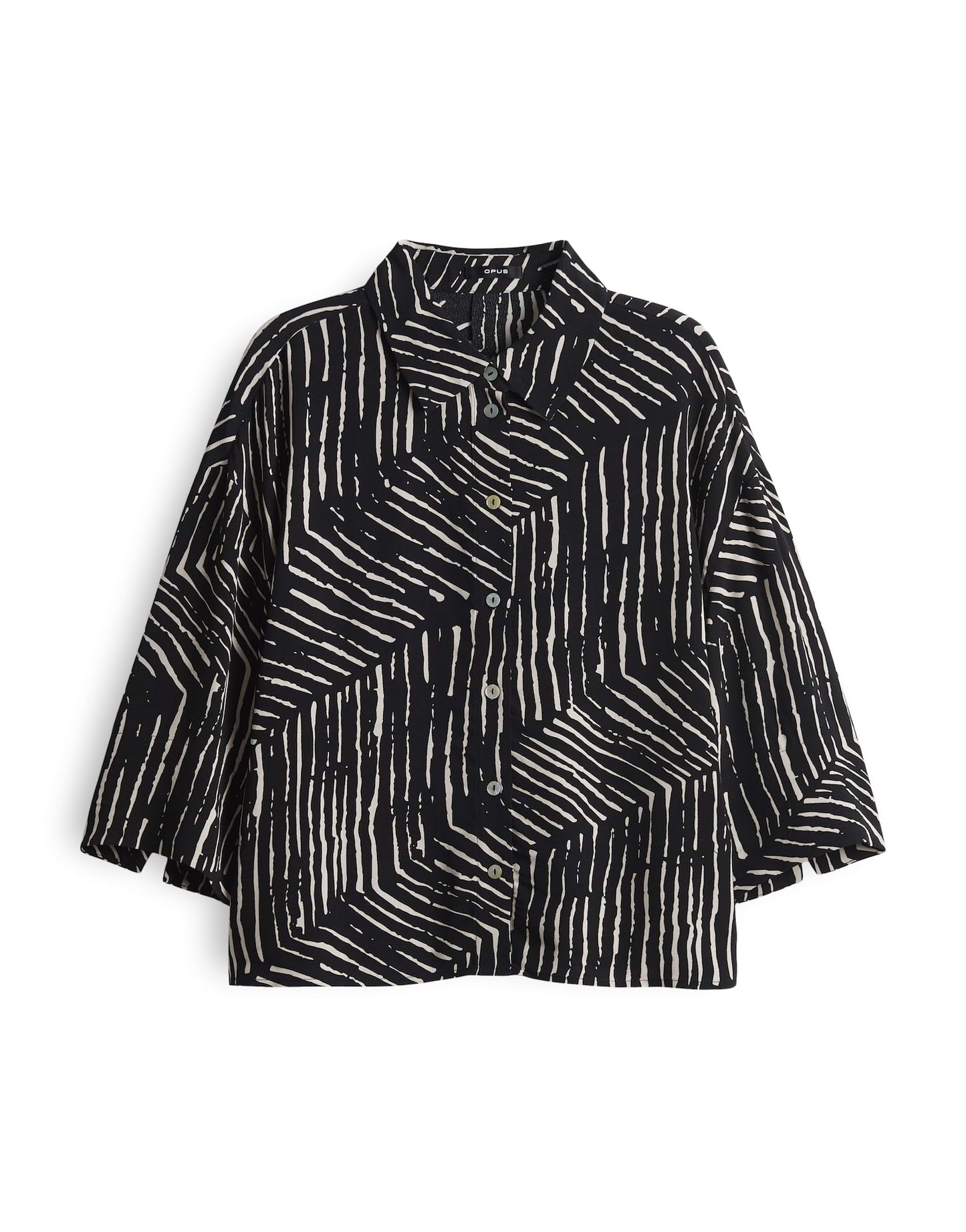 Fiana palm leaves