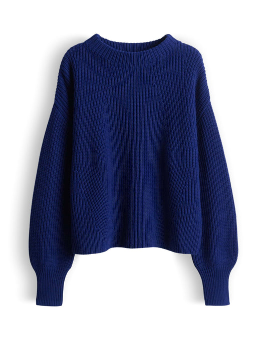 Tellina texture