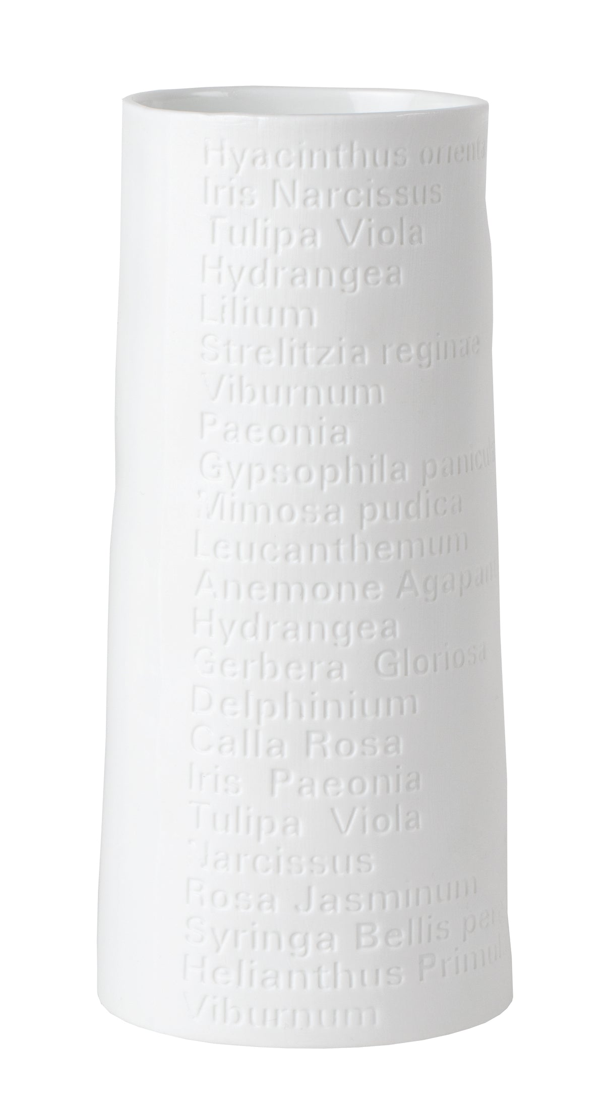 LIVING Raumpoesie Vase breit/ klein D 7cm H 15cm,