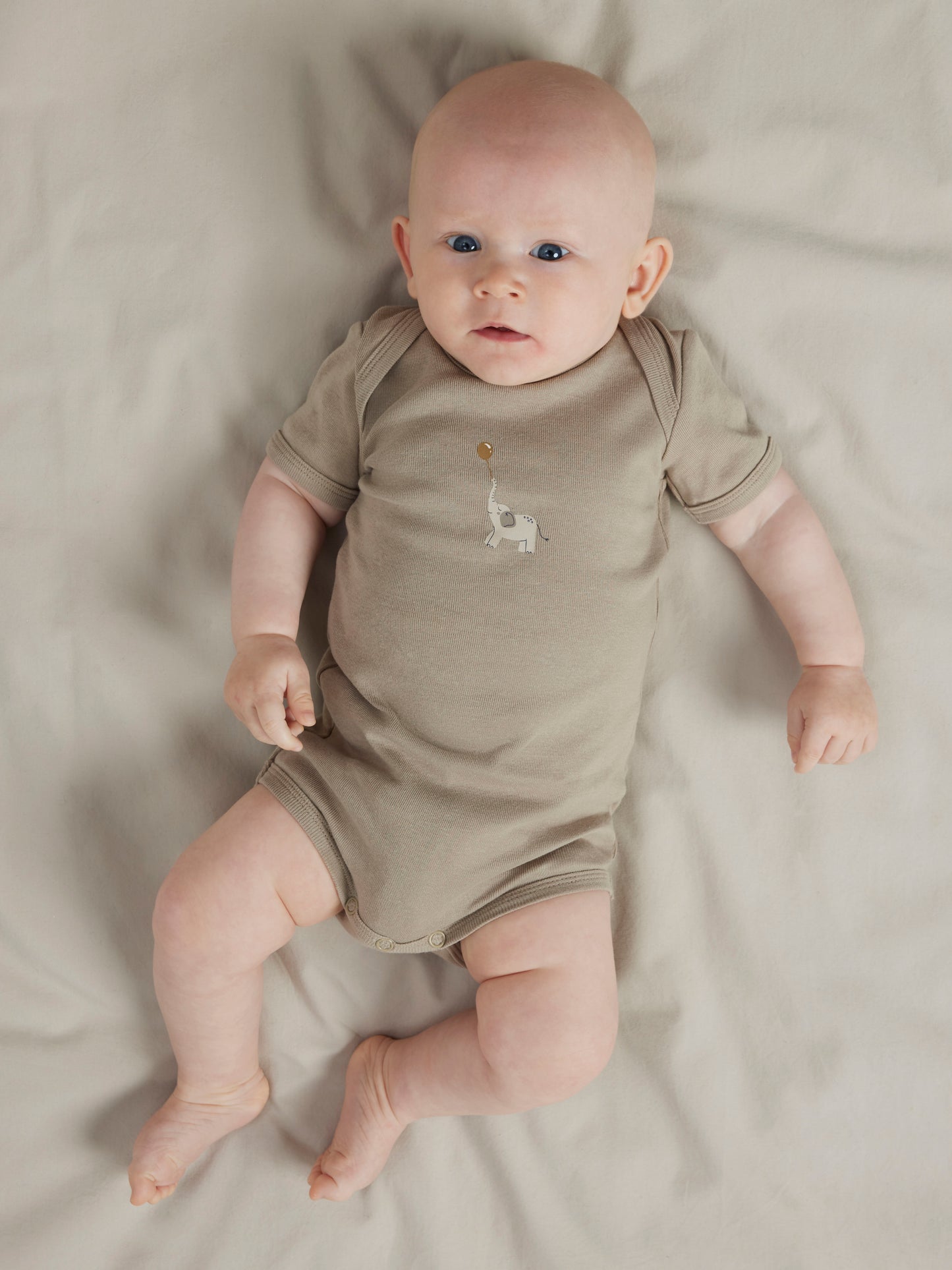 NBNBODY 3P SS ANIMAL NOOS