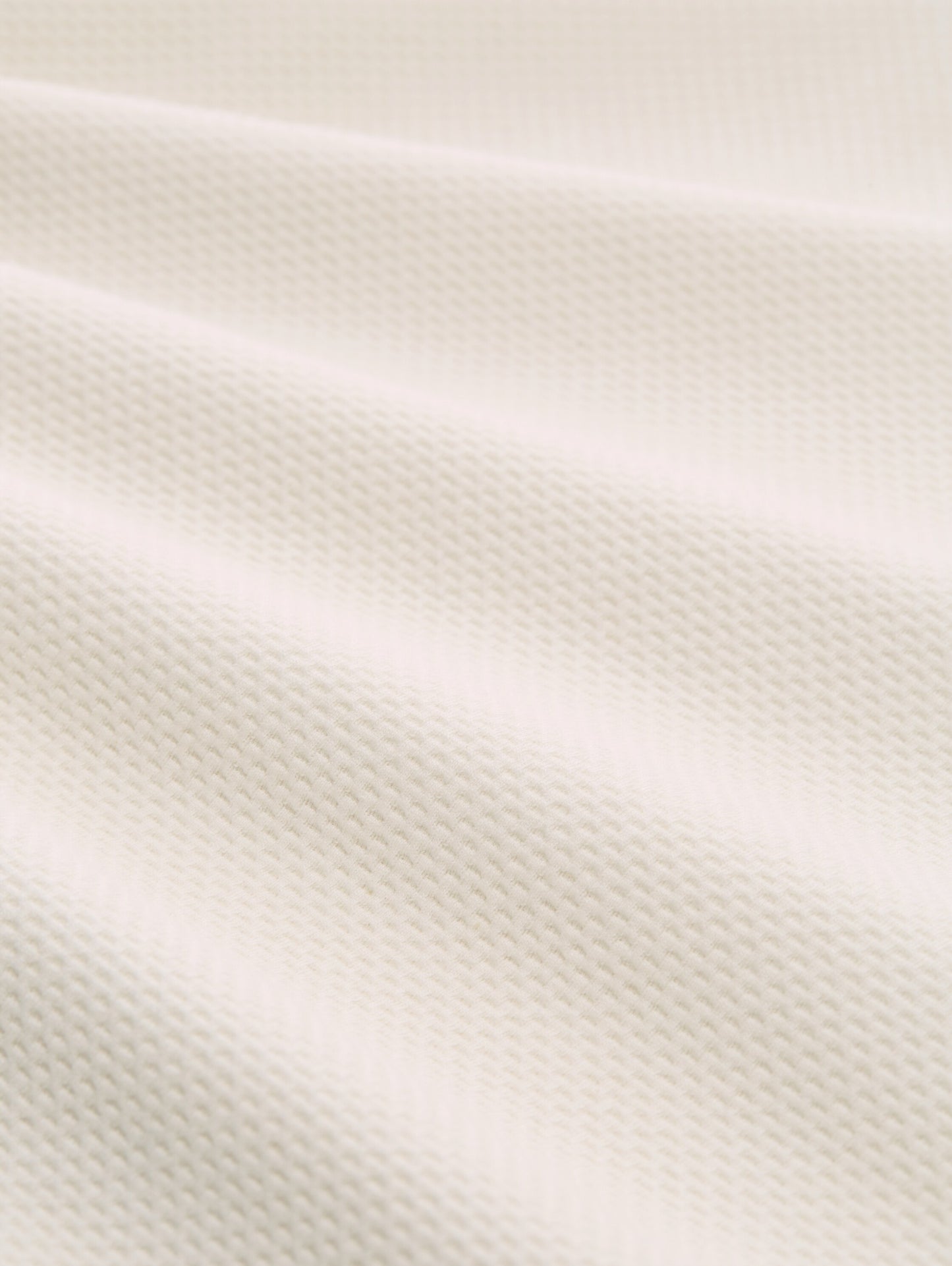 Sweatshirt aus Baumwolle