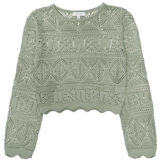 Md.-Pullover