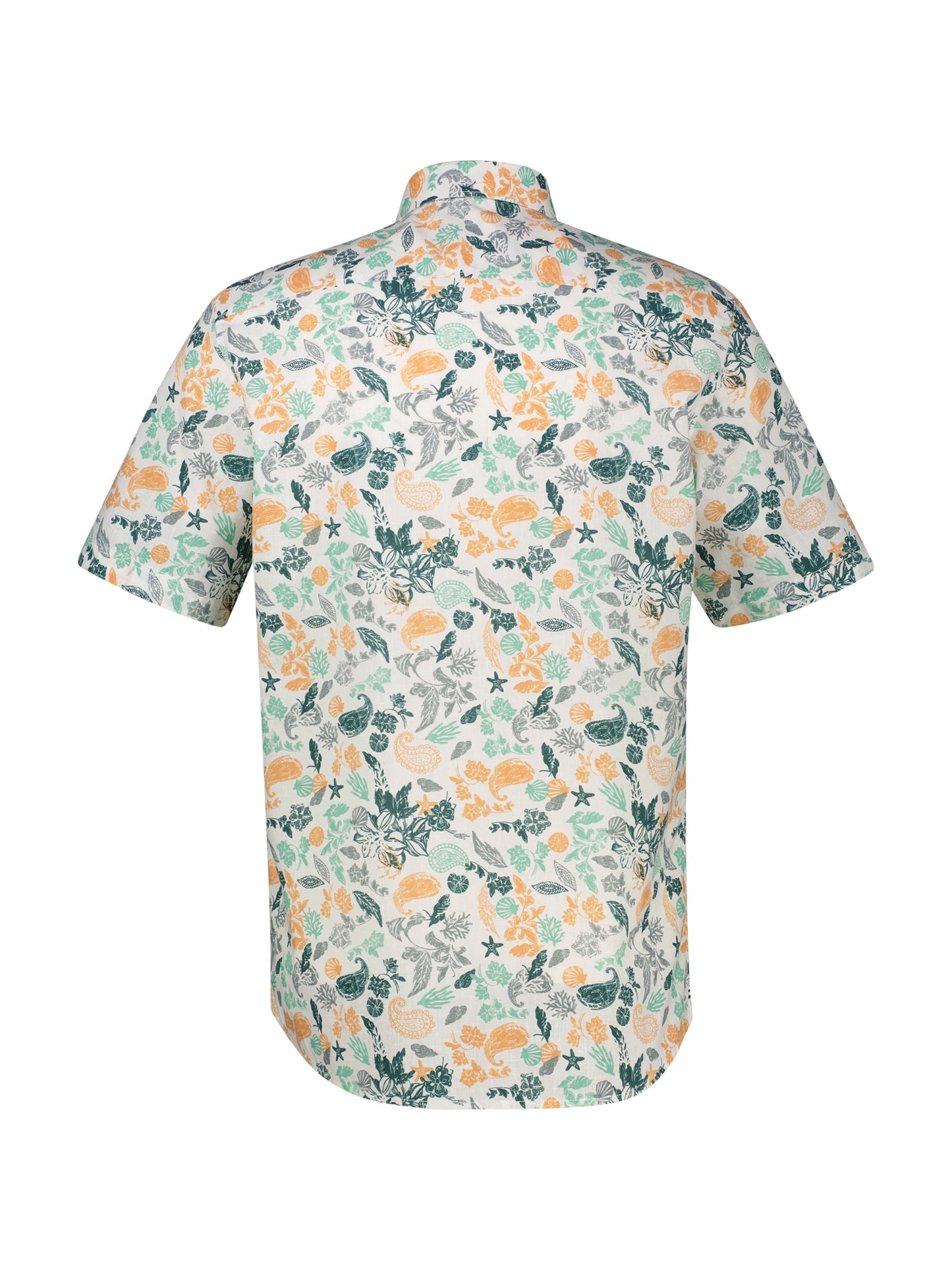 BUTTON DOWN