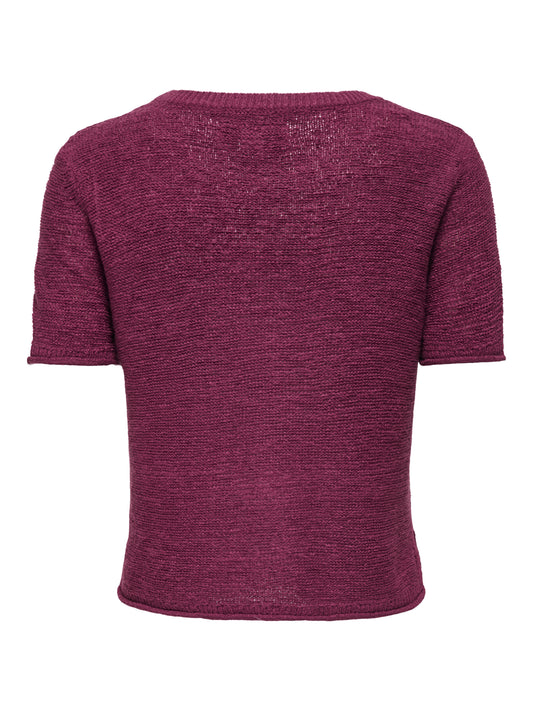 ONLSUNNY S/S PULLOVER KNT NOOS