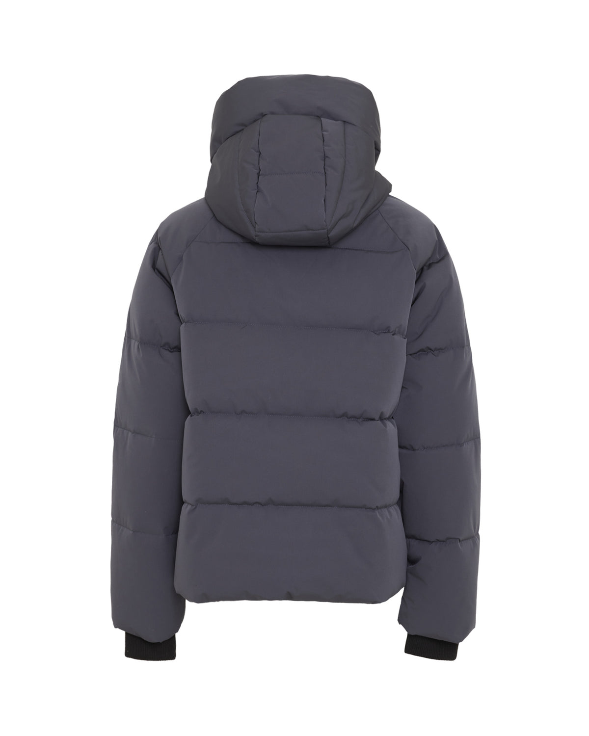 MSCHPavinaria Short Jacket