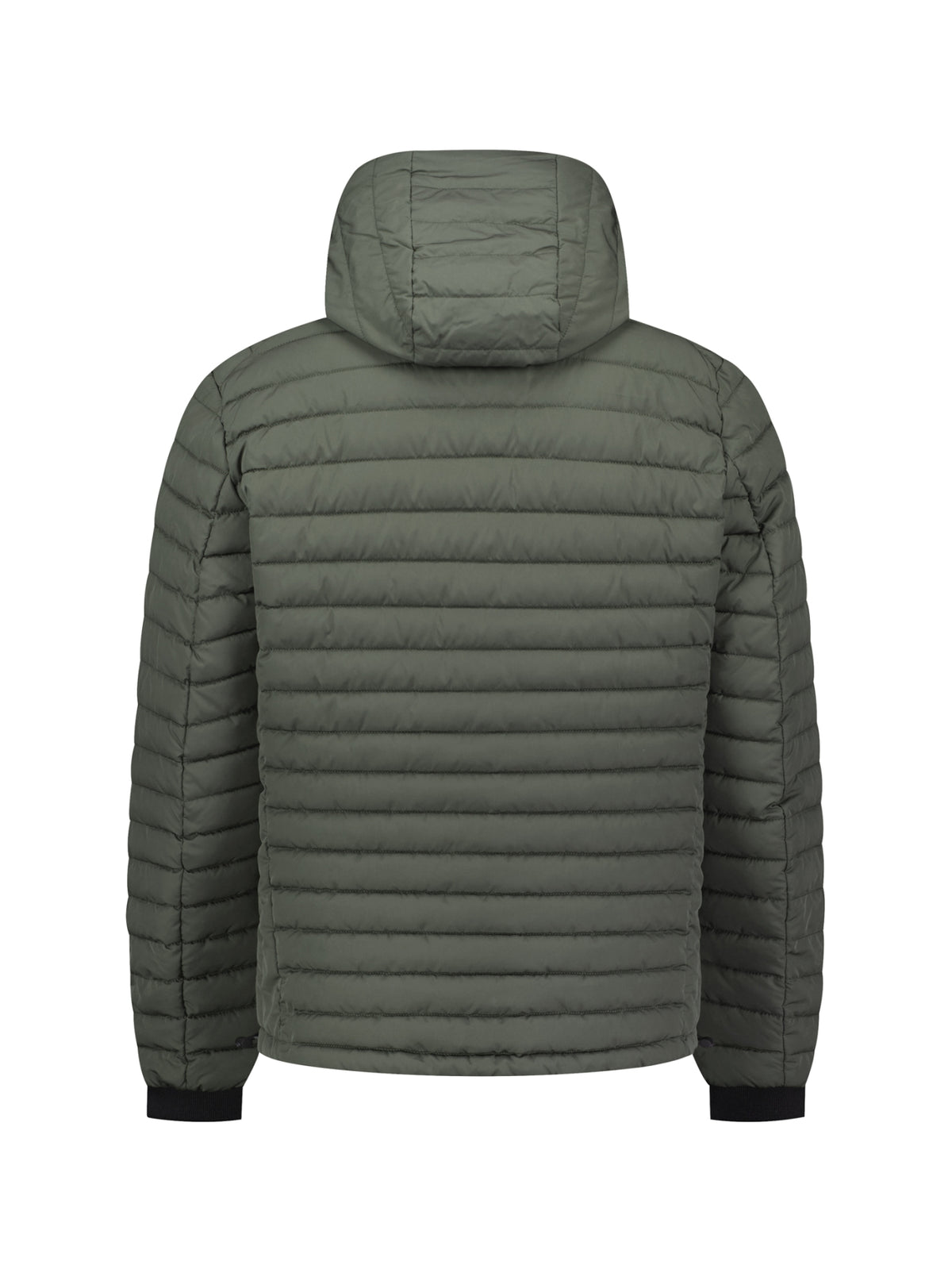Jacket Hooded Short Fit Padded