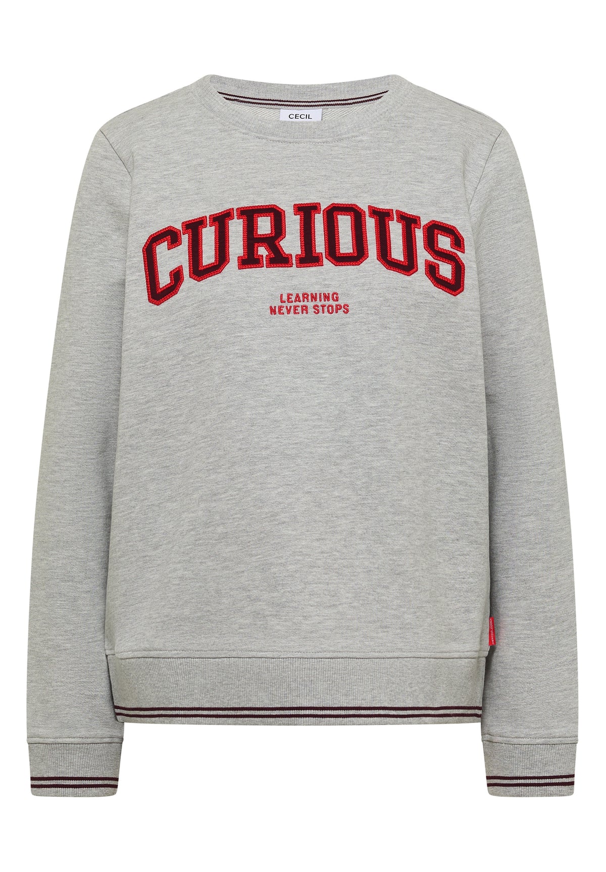 Sweatshirt mit Rundhals und Stickerei