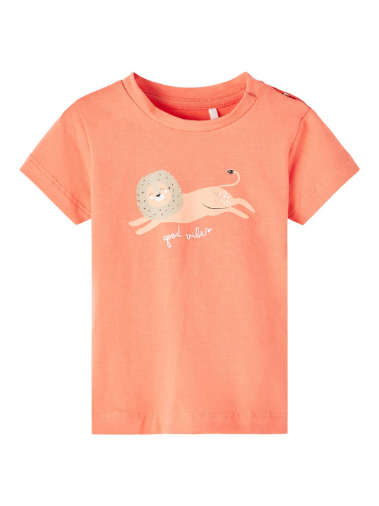 NBMFUNO SS TOP